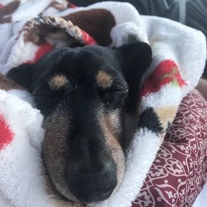 Meet your Posher, Lisa